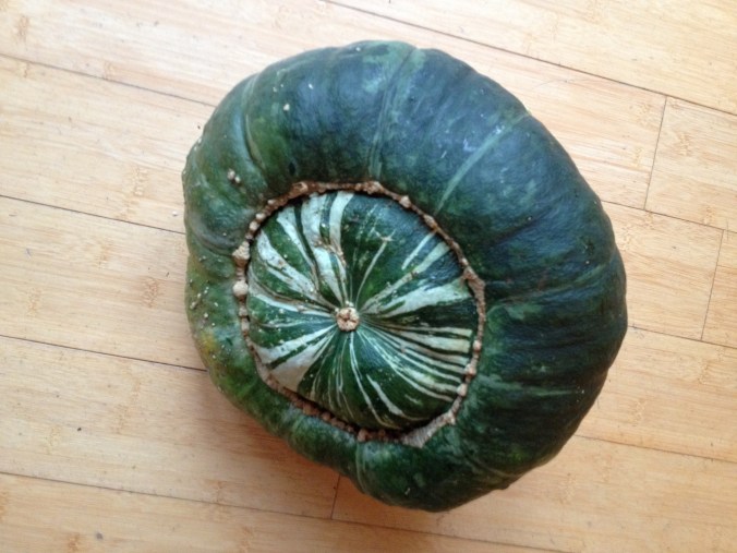 Turban squash